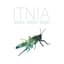 Itnia