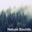Nature Recordings