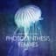 Carbon Based Lifeforms