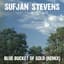 Sufjan Stevens