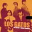 Los Gatos