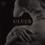 Ulver