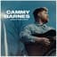 Cammy Barnes