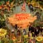 Nightmares On Wax
