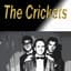 The Crickets