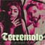 Terremoto de Jerez