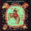 Marty Stuart And His Fabulous Superlatives