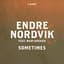 Endre Nordvik