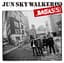 JUN SKY WALKER(S)