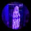 Paluma Sound