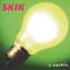 Skik