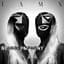 IAMX