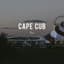 Cape Cub