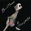 Midnight Oil
