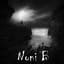 Noni B