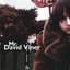 Mr. David Viner