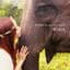 KOKIA
