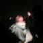 Galomgobaby