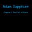Adam Sapphire