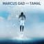 Marcus Gad