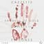 CAZZETTE