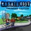 Karate Riot