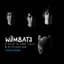 The Wombats
