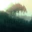 Carbon Based Lifeforms