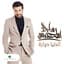 Majid Almohandis