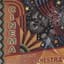 Cafe Accordion Orcherstra