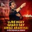 Syed Farhan Ali Waris