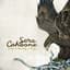 Sera Cahoone
