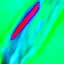 EMPIRICAL