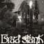 Brad stank