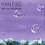 Hvalfugl