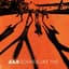 Animal Liberation Orchestra