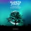Gareth Emery