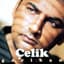 çelik