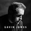 Gavin James