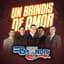 Grupo Bryndis