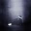 Peste Noire