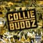 Collie Buddz