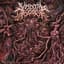 Visceral Disgorge