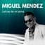 Miguel Mendez