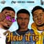 The Plugz