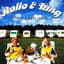 Rollo & King
