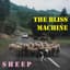 The Bliss Machine