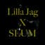 Lilla Jag