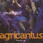 Agricantus