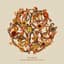 Stacy Barthe